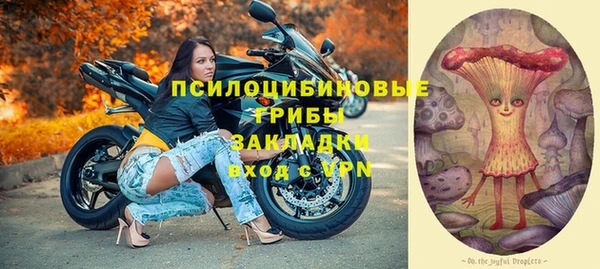 ешки Медвежьегорск