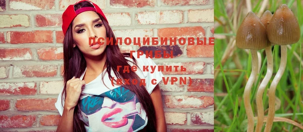 мет Мегион