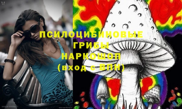 ешки Медвежьегорск