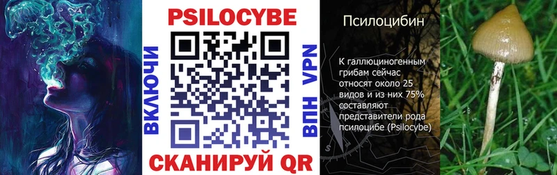 Псилоцибиновые грибы мухоморы  где купить наркоту  Приволжский 